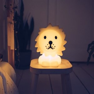 Lion Lamba First Light Aydınlatma